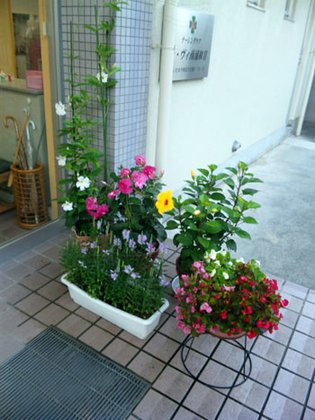 ラ・ヴィ南浦和2