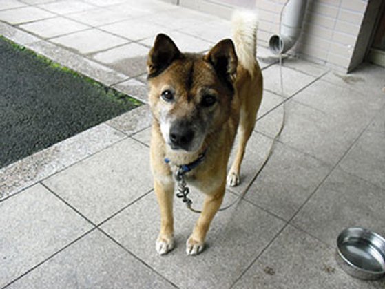 ベストライフ星の里