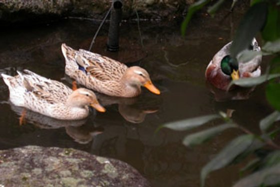 ベストライフ熱海