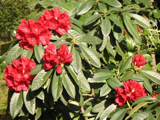 ベストライフ熱海