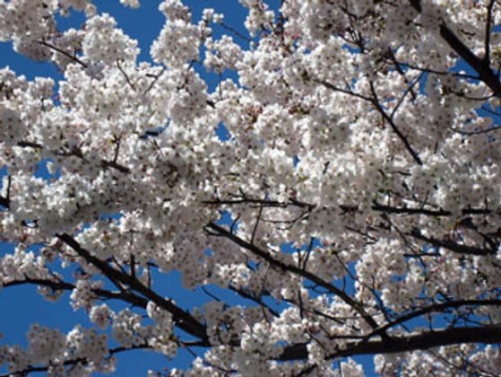 ベストライフ熱海