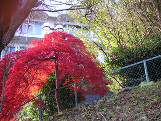 ベストライフ熱海