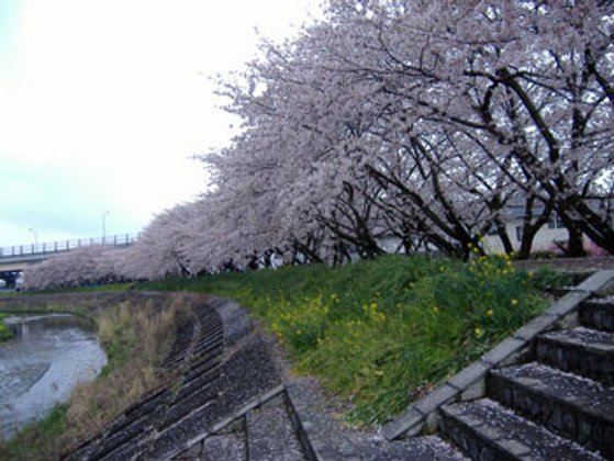 ベストライフ静岡