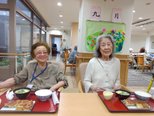 しそ×エビの新発見!いろんな味がずらり♪ 『ぎょうざの味比べランチ♪』