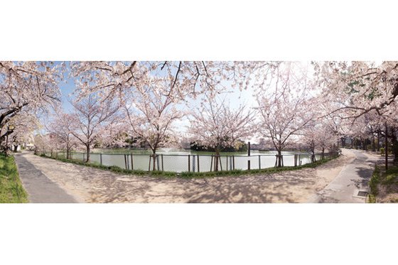 ベルパージュ大阪帝塚山(ALSOKグループ)