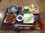 一足早いうなぎ