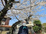 桜日和の散歩同行♪