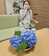 紫陽花が綺麗に咲きました♪