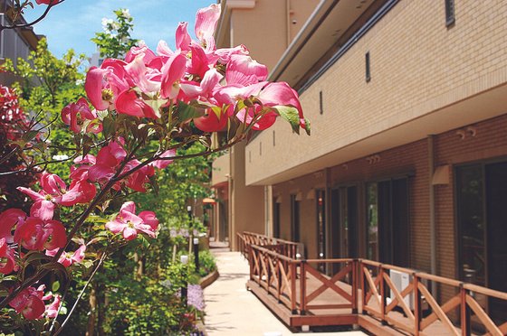 ベルパージュ千里古江台