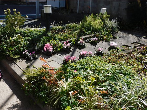 ライフコミューン下総中山