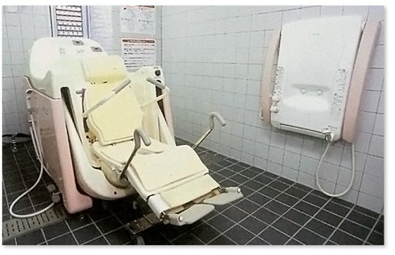 応援家族 昭和記念公園