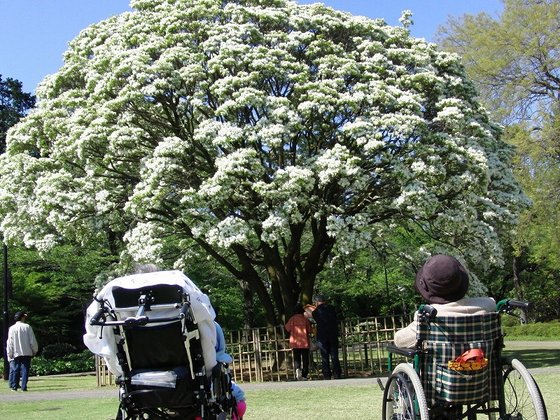 リアンレーヴ南柏