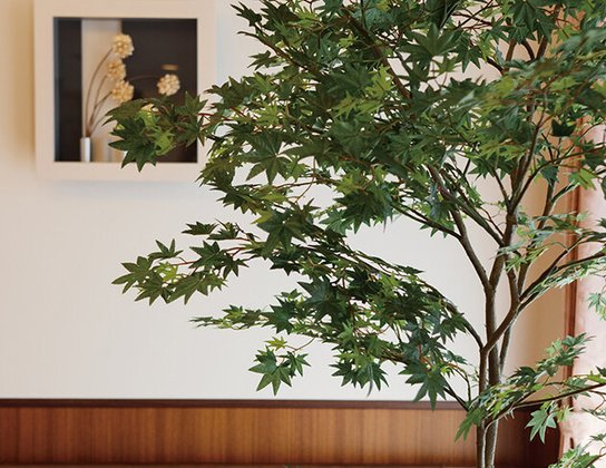 リアンレーヴ草加