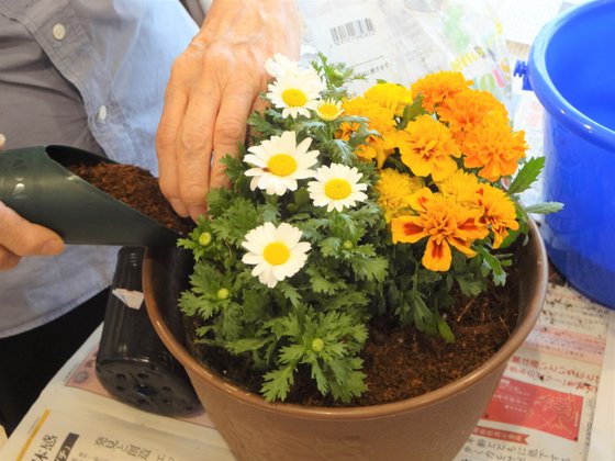 ライフコミューン中山