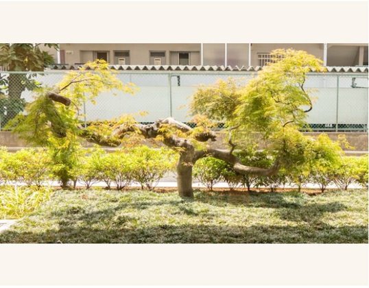 リアンレーヴ北浦和