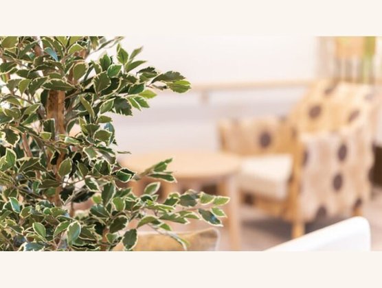 リアンレーヴ新小岩