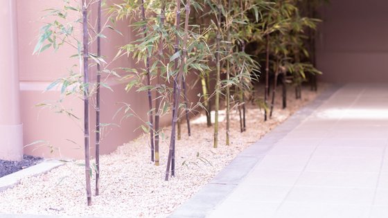 リアンレーヴ行船公園