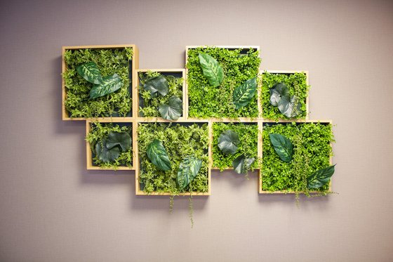 リアンレーヴ新狭山