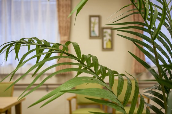 リアンレーヴ新狭山