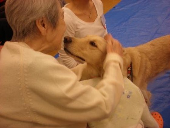 エレガーノ摩耶 【住友林業グループ】