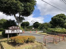 青葉の森公園
