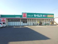 周辺のドラッグストア「セイムス」