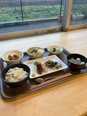 お刺身のイベント食