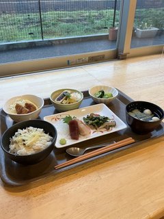 お刺身のイベント食