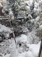 雪景色を見ながら