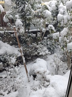 雪景色を見ながら