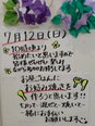 関西も梅雨明け!館内を彩る鮮やかなアジサイと、今週末のお楽しみ♪