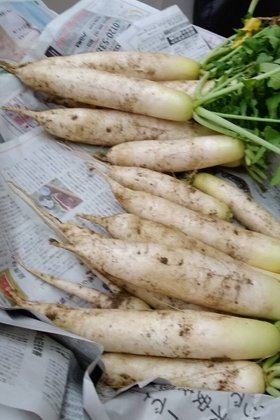 なごやか