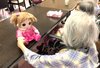 パールヴィラ太宰府【癒しと笑顔をお届け♪ 「さくら」ちゃんが大人気