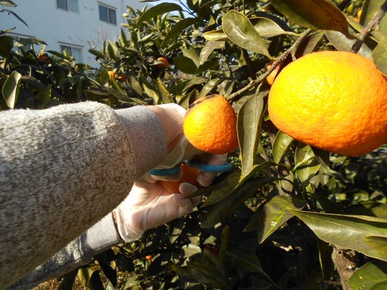 ニチイケアセンター堀崎