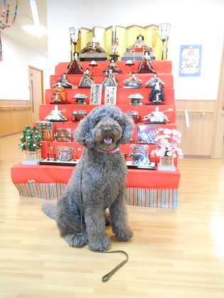 ニチイケアセンターさがみの国湘南