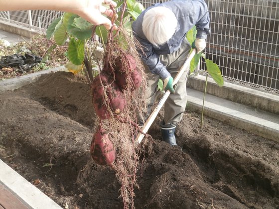 ニチイケアセンター島田金谷