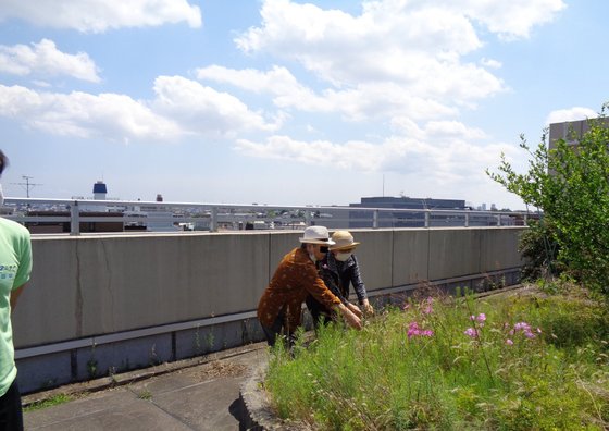 ニチイケアセンター目黒本町