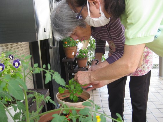 ニチイケアセンター南柏
