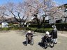 ニチイケアセンター静岡中原