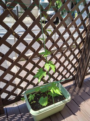 ニチイケアセンター都立大学