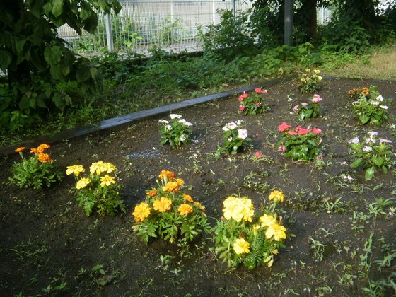 ニチイケアセンター松本筑摩