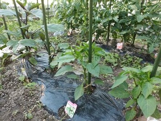 ニチイケアセンター浦里