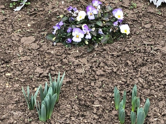 ニチイケアセンター峰