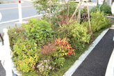 ライフコート相模原下九沢 住宅型有料老人ホームさくらんぼ