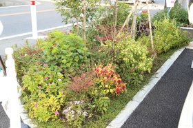 ライフコート相模原下九沢 住宅型有料老人ホームさくらんぼ