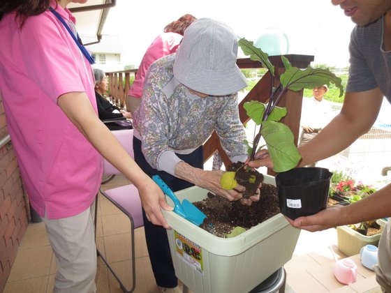 ライフコート三浦海岸住宅型有料老人ホームさくらんぼ