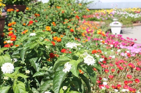 グッドケア・西東京