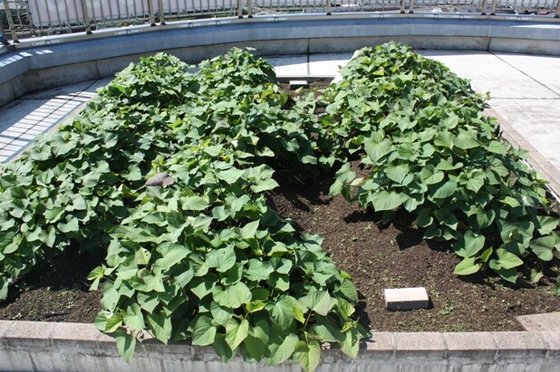 グッドケア・西東京