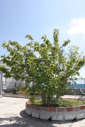 グッドケア・西東京