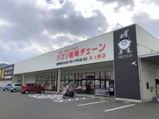 クスリ岩崎チェーン萩土原店徒歩1分